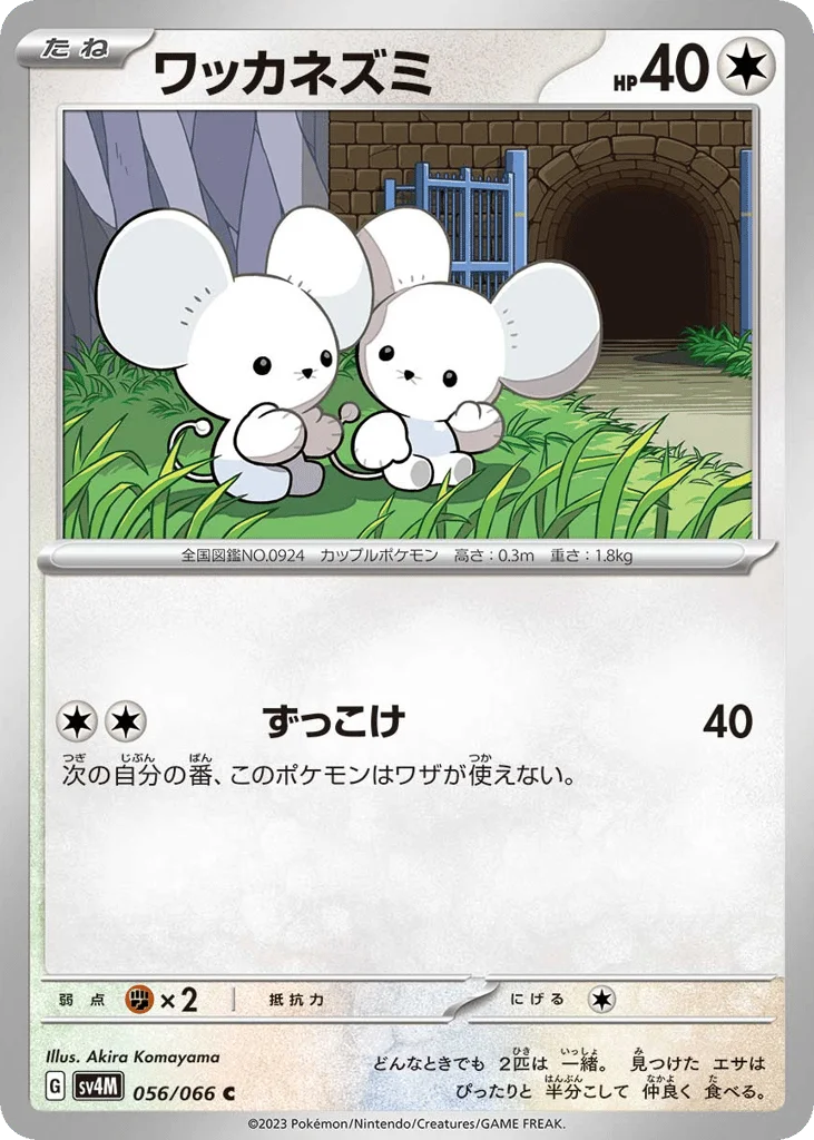 Tandemaus · Future Flash