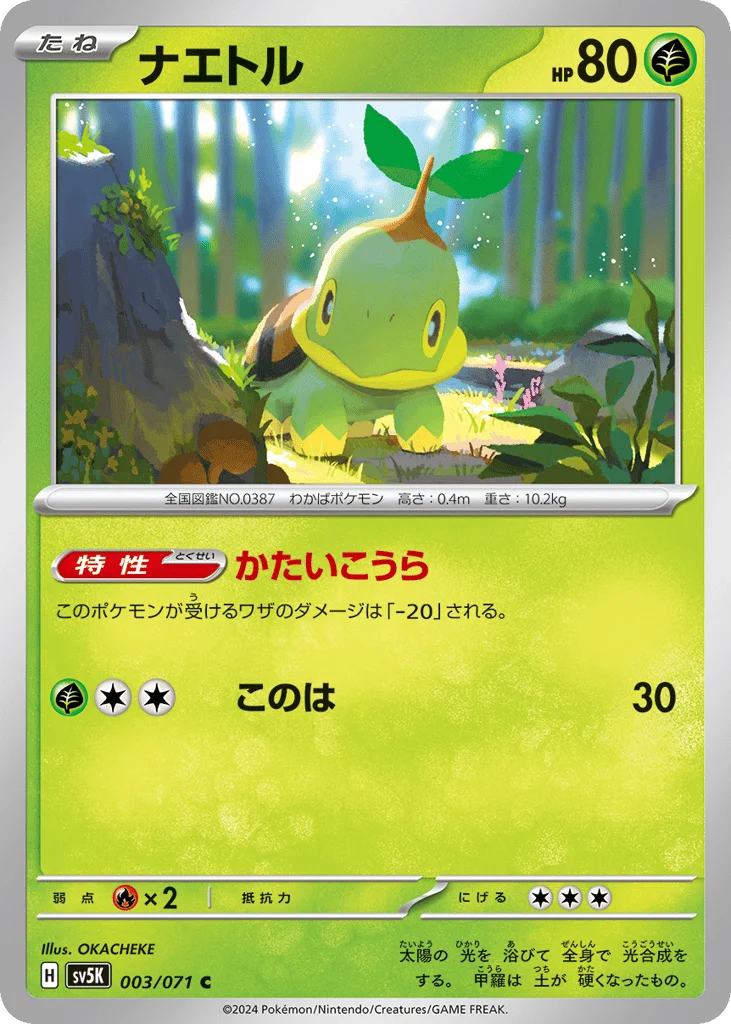 Turtwig · Wild Force
