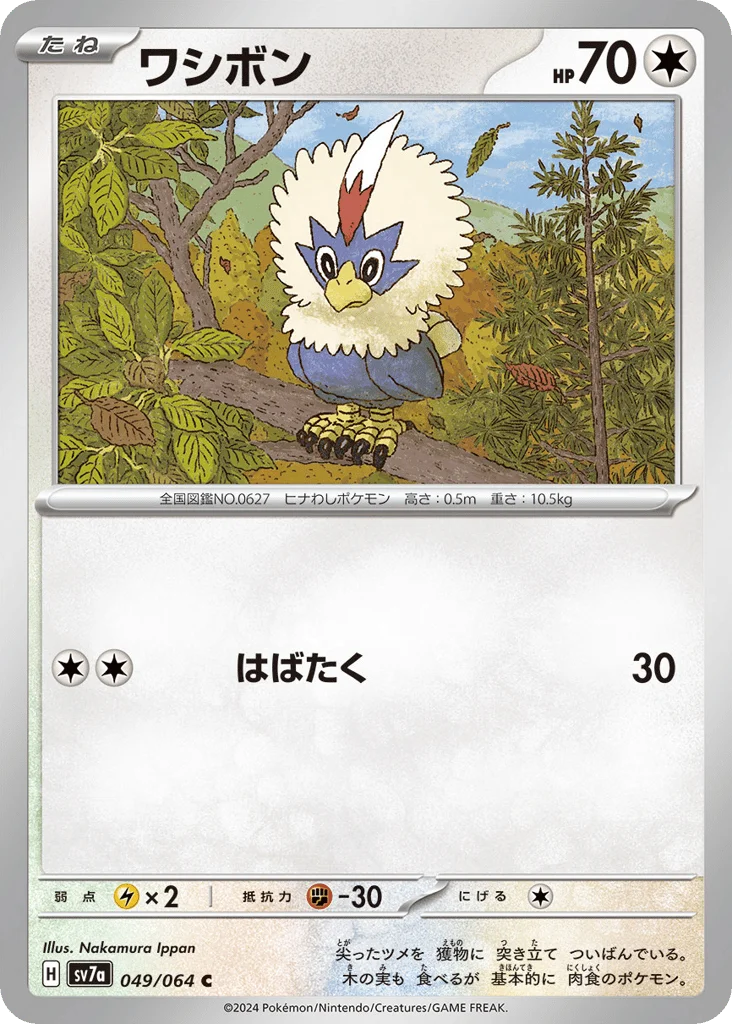 Rufflet · Paradise Dragona