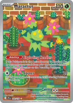Maractus
