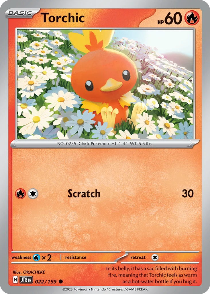 Torchic · Journey Together