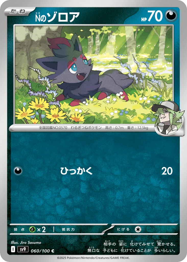 N's Zorua · Battle Partners