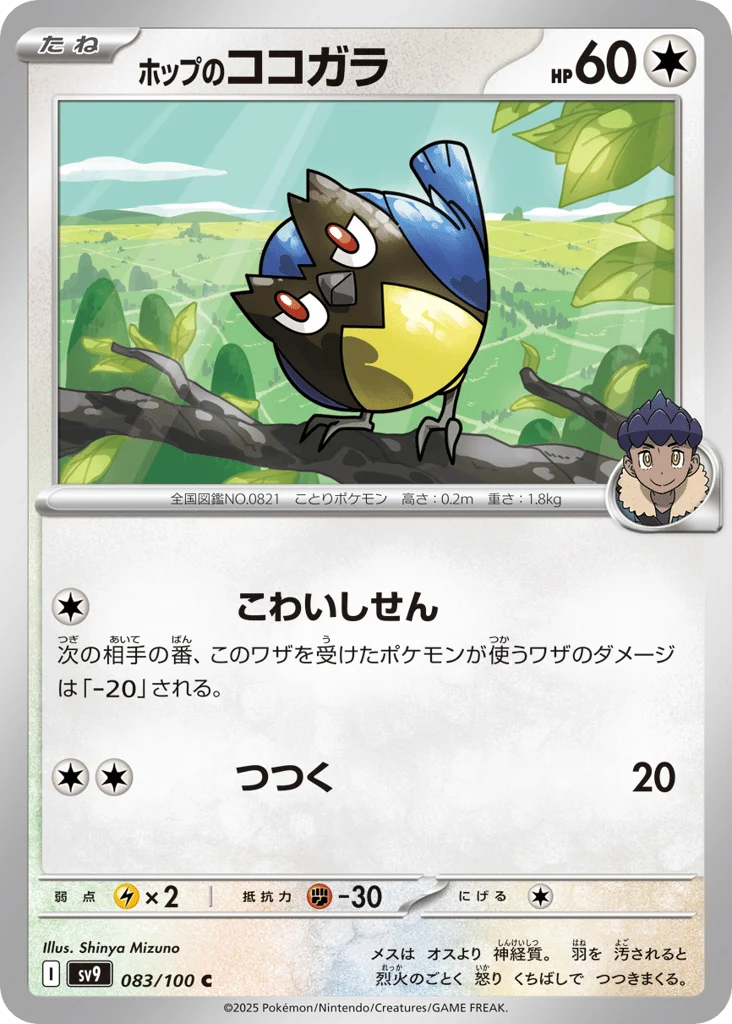 Hop's Rookidee · Battle Partners