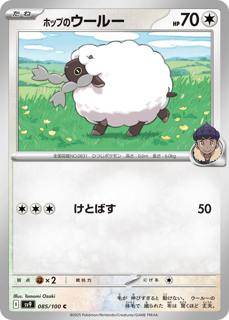 Hop's Wooloo · Battle Partners