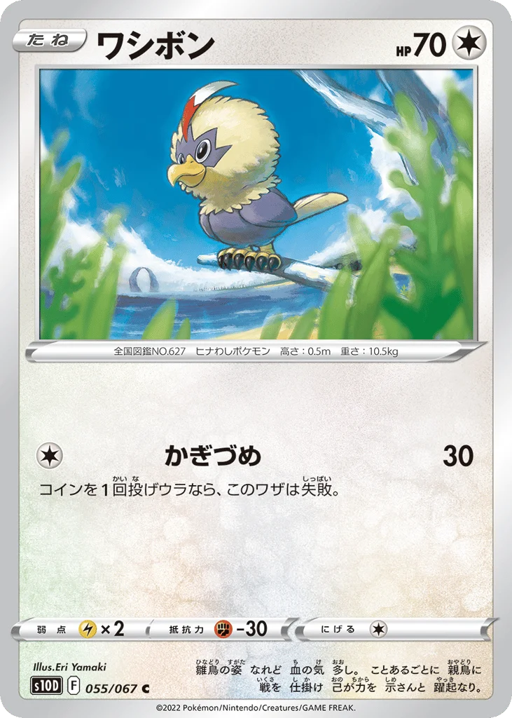 Rufflet · Time Gazer