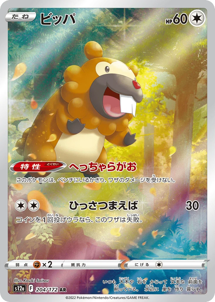 Bidoof · VSTAR Universe