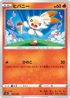ヒバニー