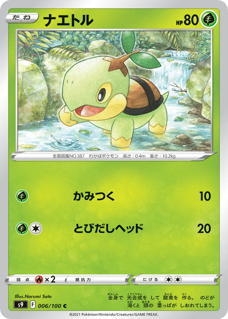 Turtwig · Star Birth