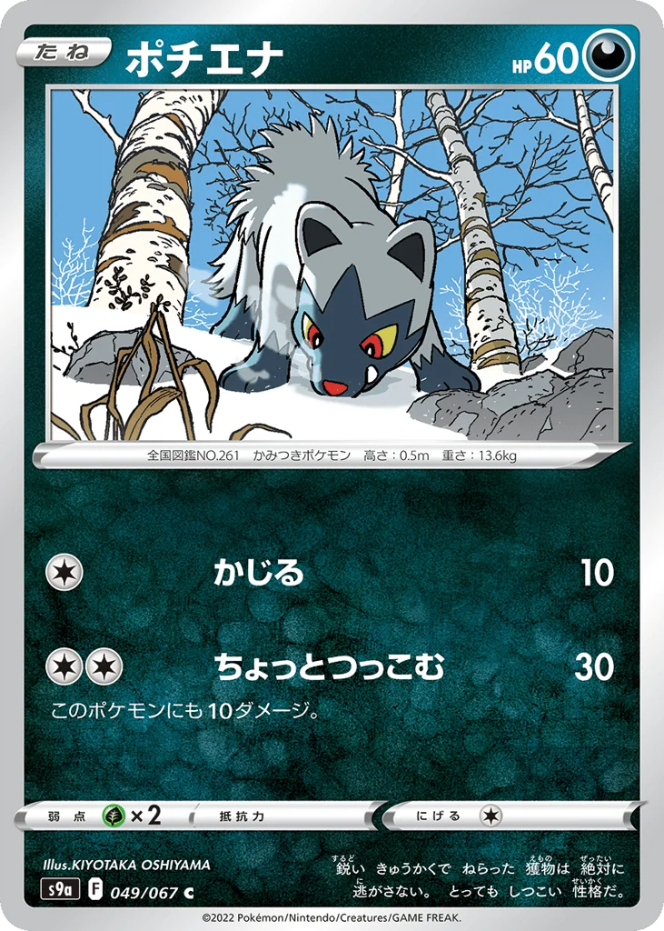 Poochyena · Battle Region