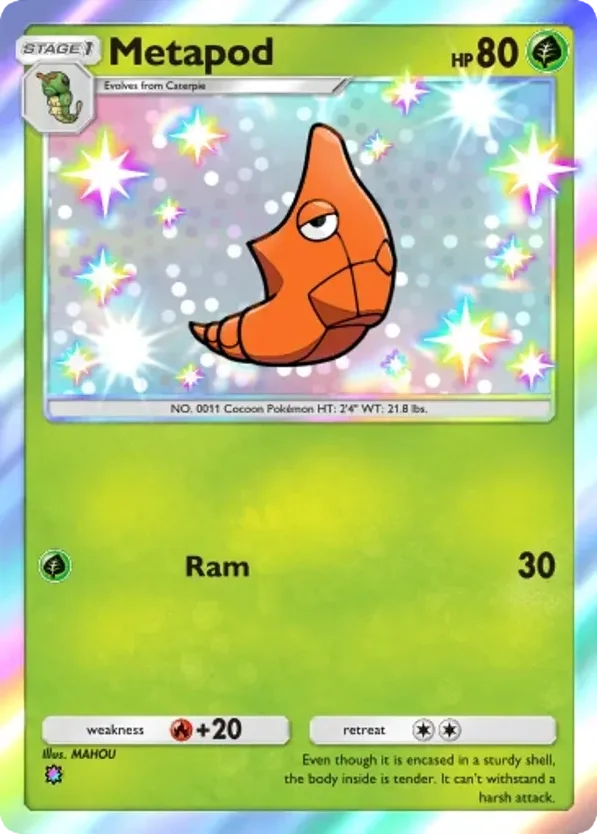 Metapod · Everyday Wonders