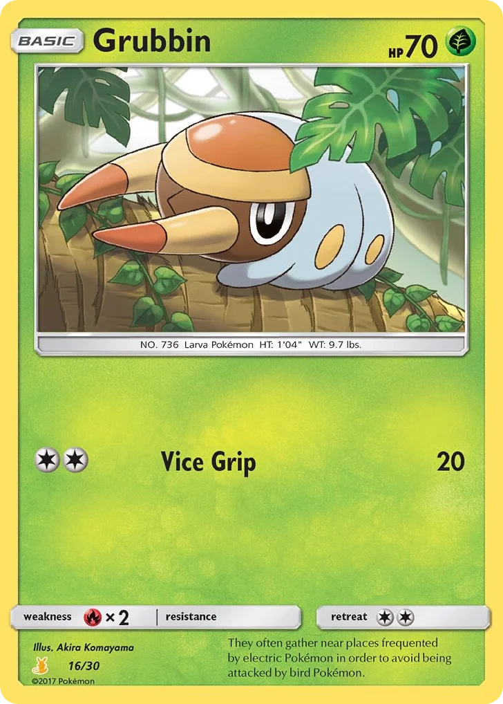Grubbin · SM Trainer Kit Alolan Raichu