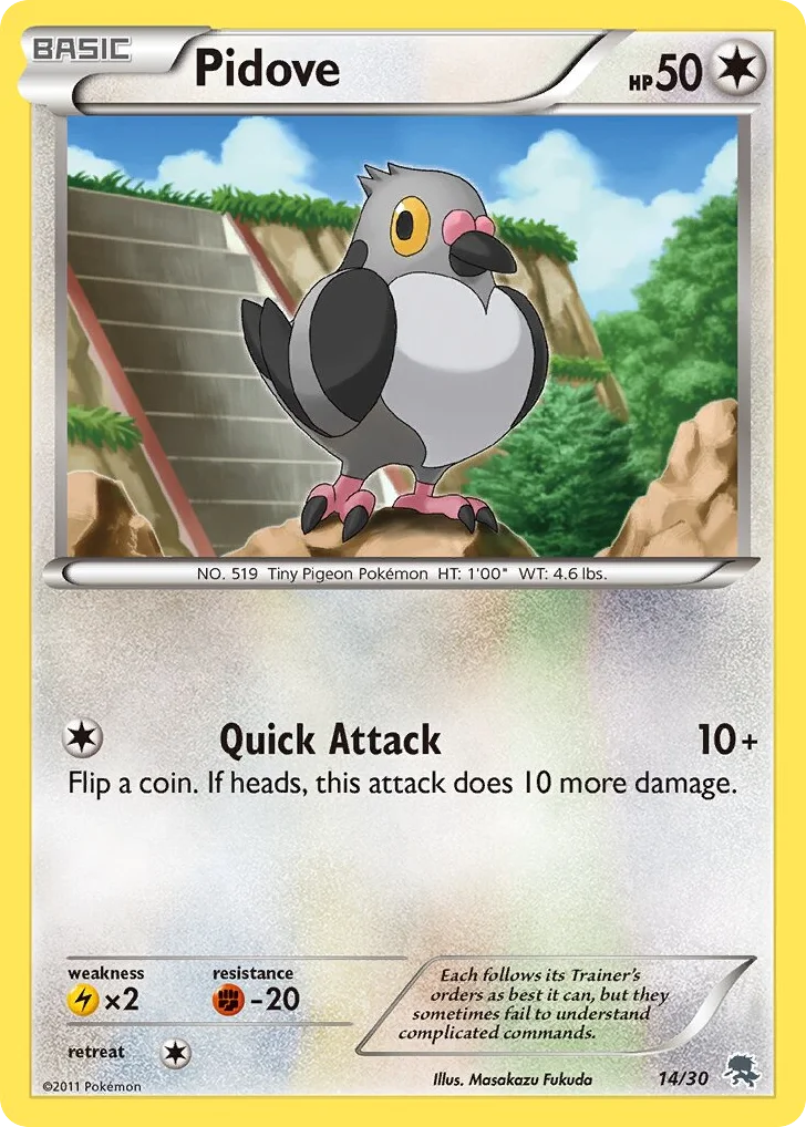 Pidove · BW Trainer Kit Zoroark