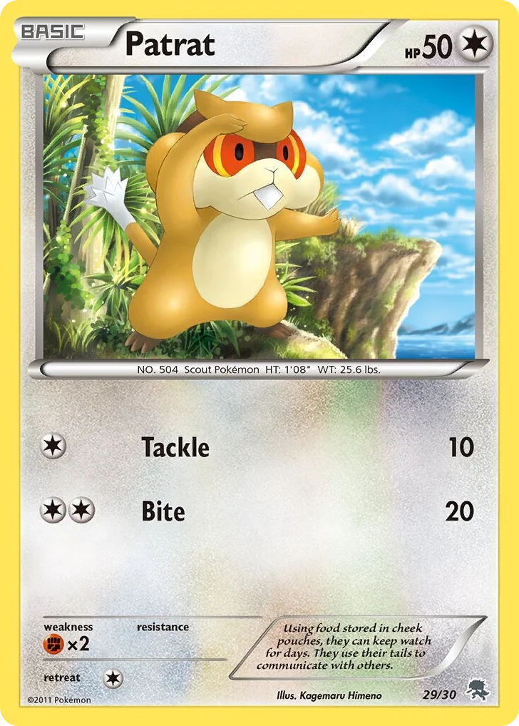 Patrat · BW Trainer Kit Zoroark