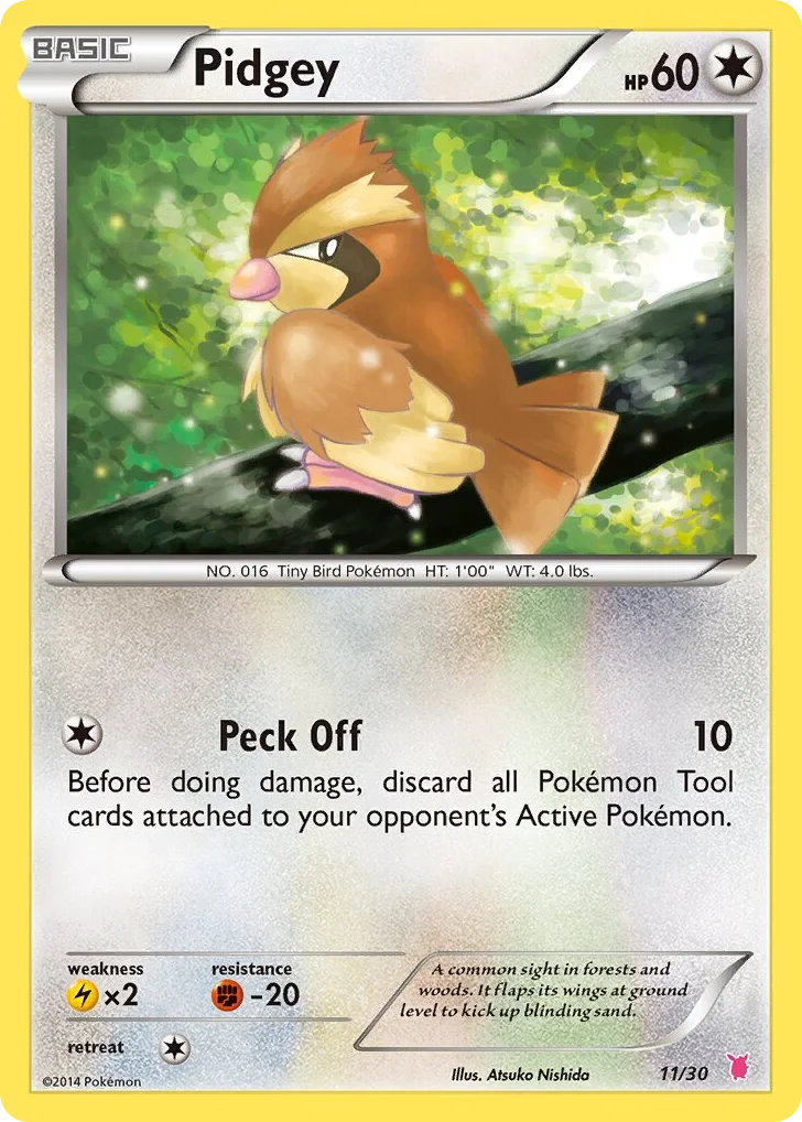 Pidgey · XY Trainer Kit Wigglytuff