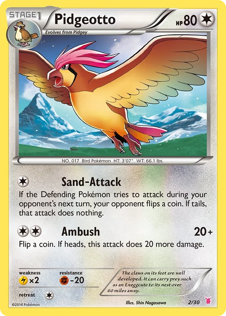 Pidgeotto · XY Trainer Kit Wigglytuff