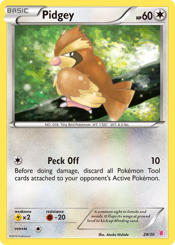 Pidgey · XY Trainer Kit Wigglytuff