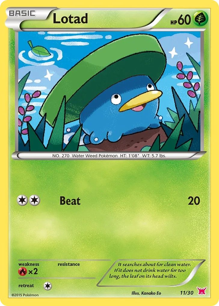 Lotad · XY Trainer Kit Latias
