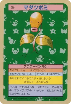 マダツボミ