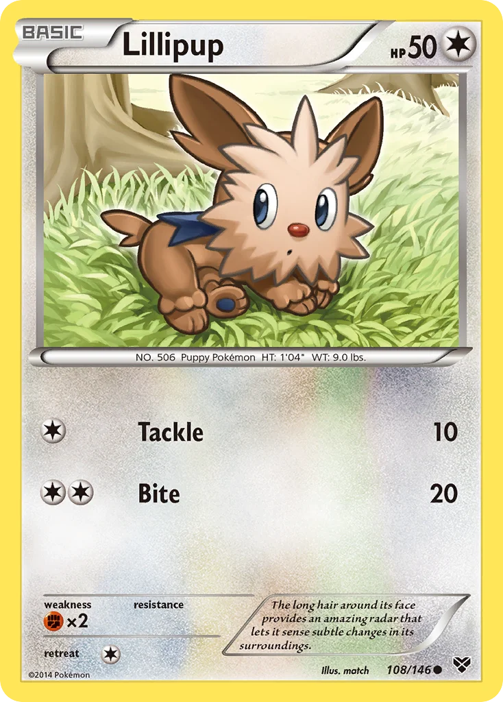 Lillipup · XY
