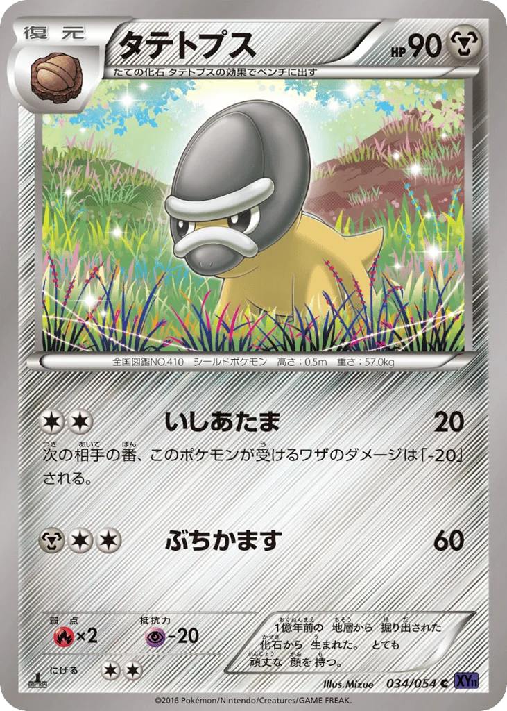 Shieldon · Fever-Burst Fighter