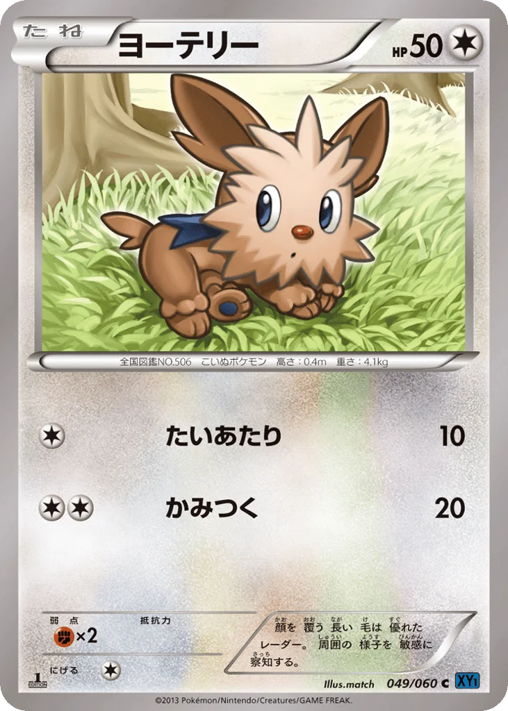 Lillipup · Collection X