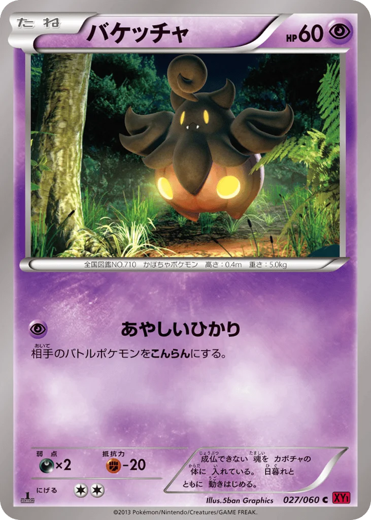 Pumpkaboo · Collection Y