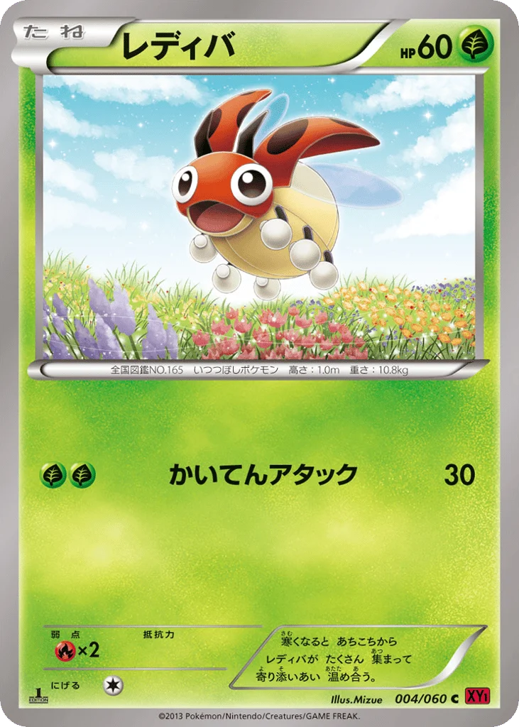 Ledyba · Collection Y