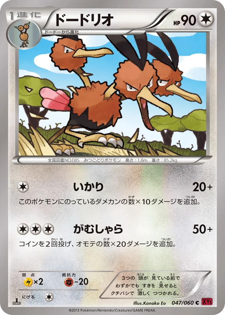 Dodrio · Collection Y