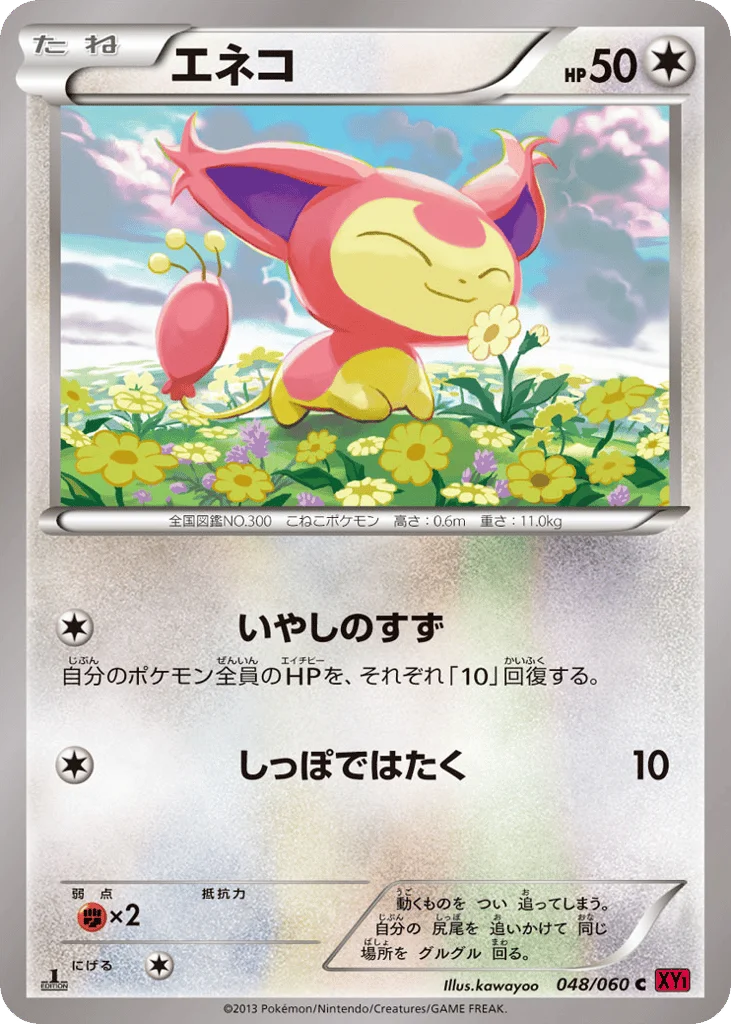 Skitty · Collection Y