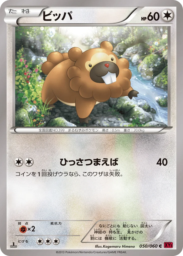 Bidoof · Collection Y