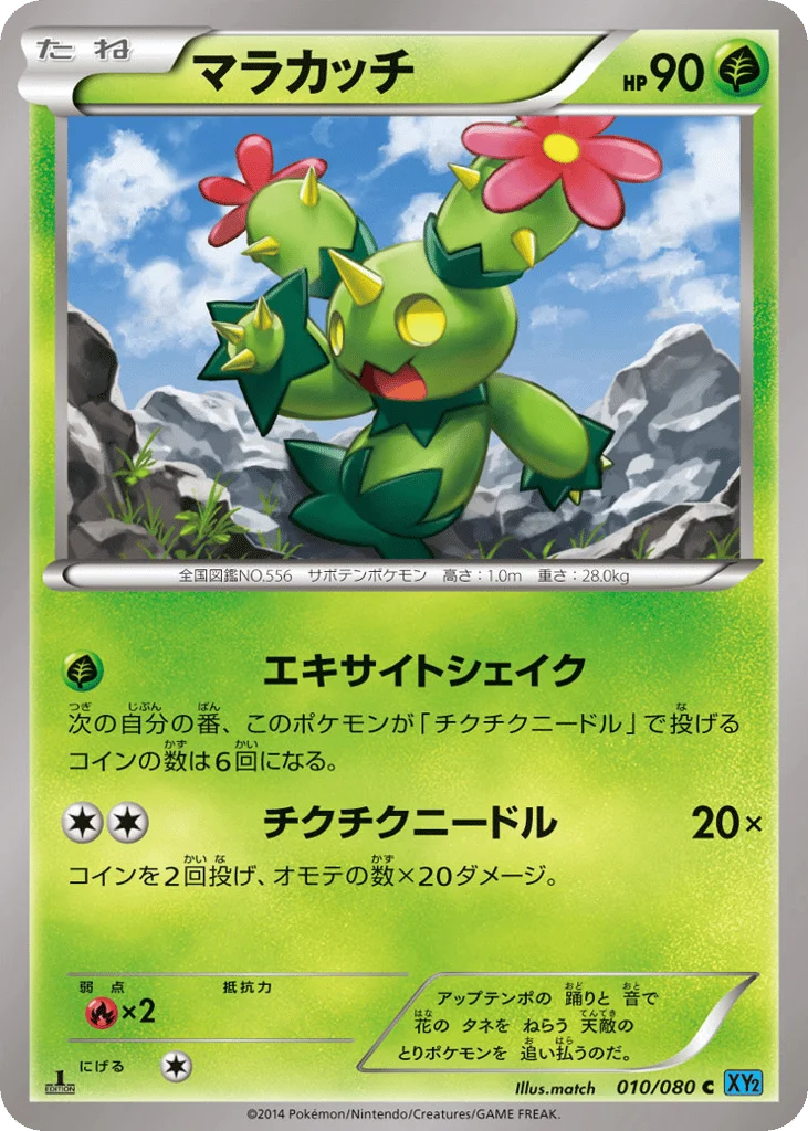 Maractus · Wild Blaze