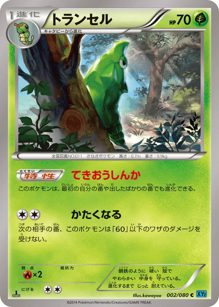 Metapod · Wild Blaze
