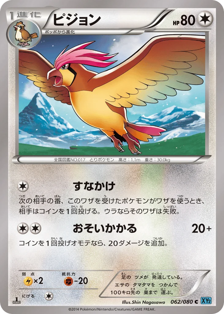 Pidgeotto · Wild Blaze