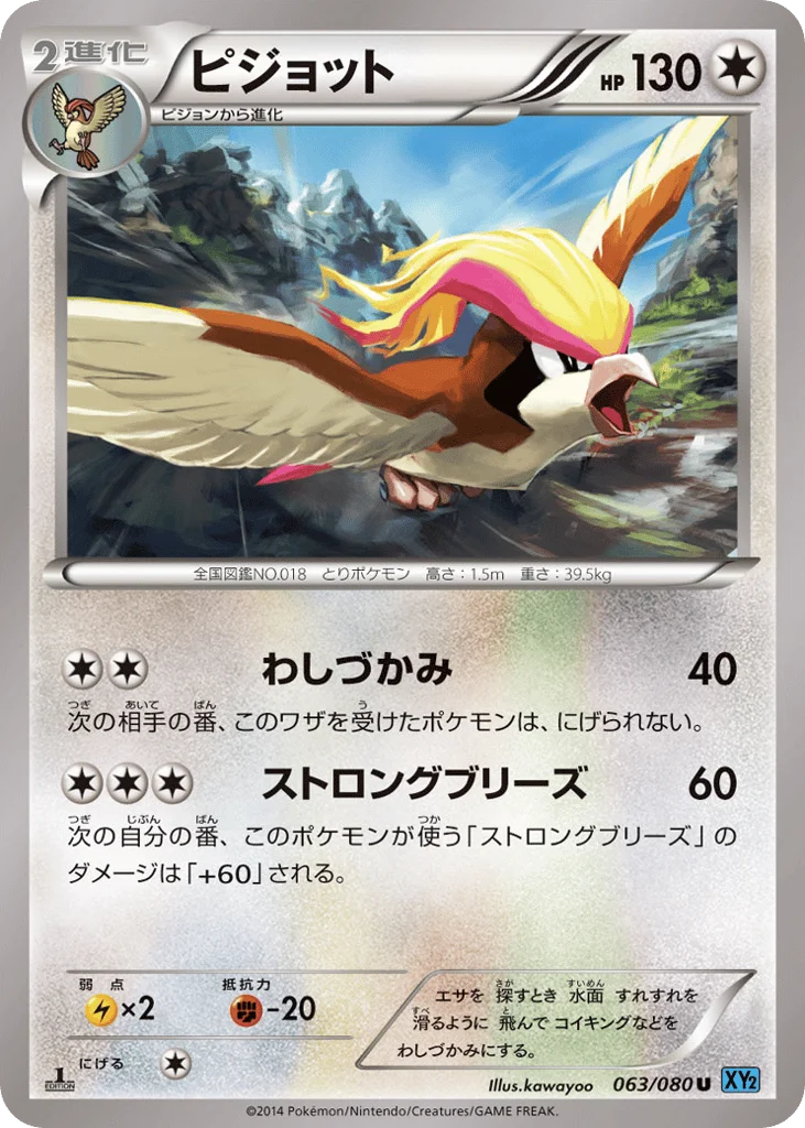 Pidgeot · Wild Blaze