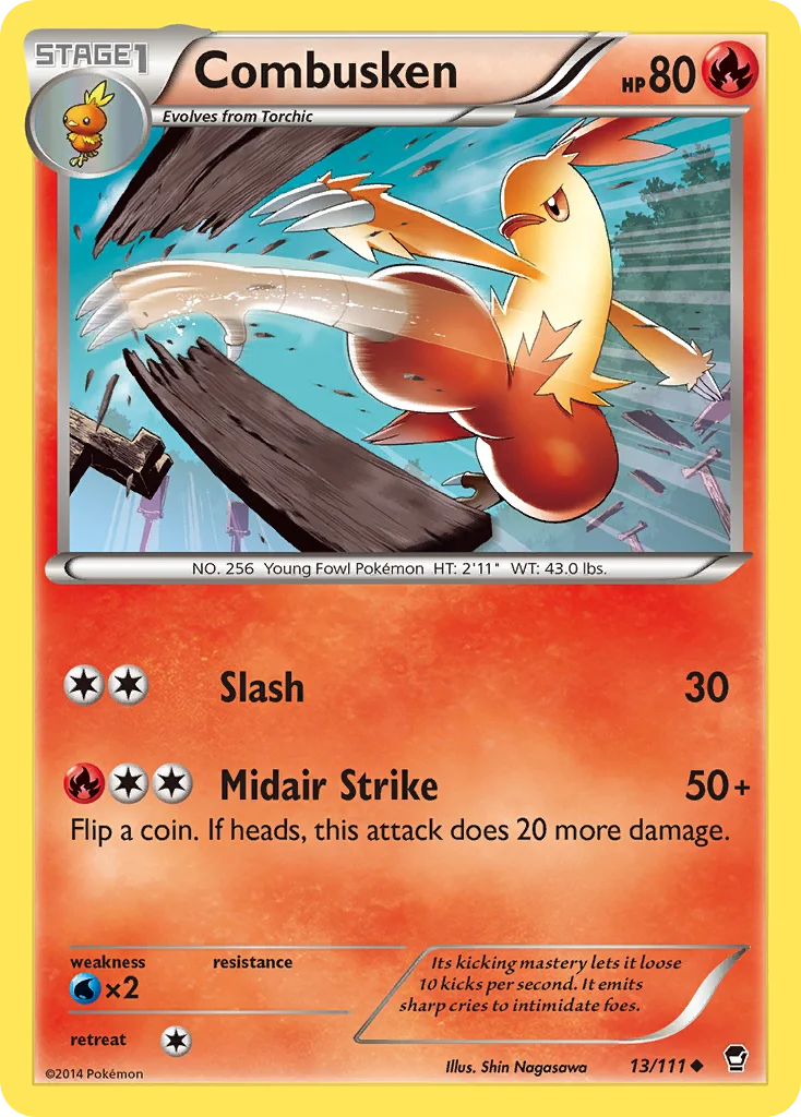 Combusken · Furious Fists