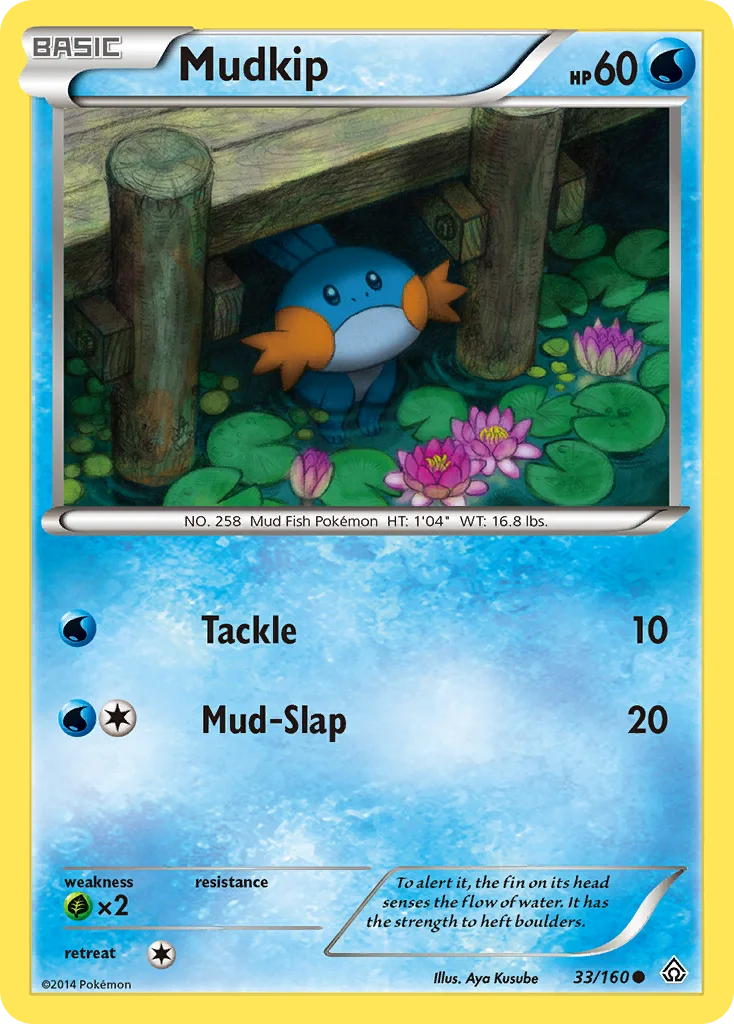 Mudkip · Primal Clash