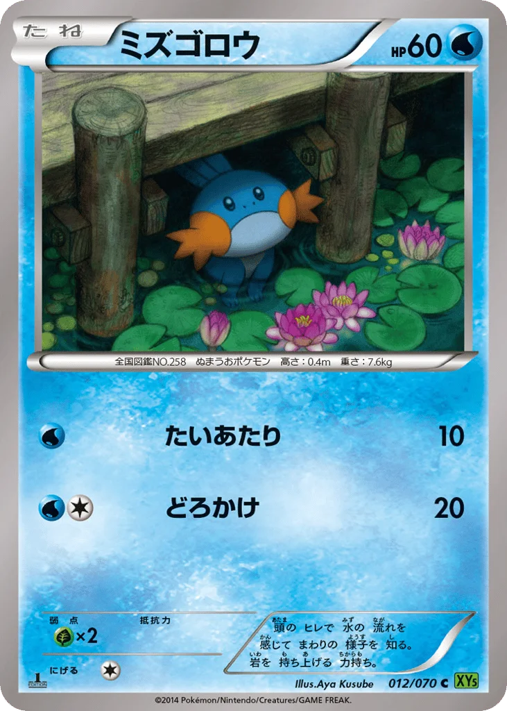 Mudkip · Tidal Storm