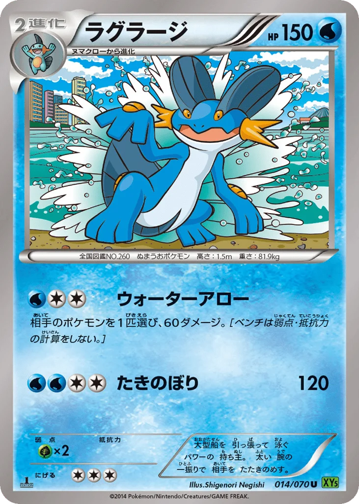 Swampert · Tidal Storm