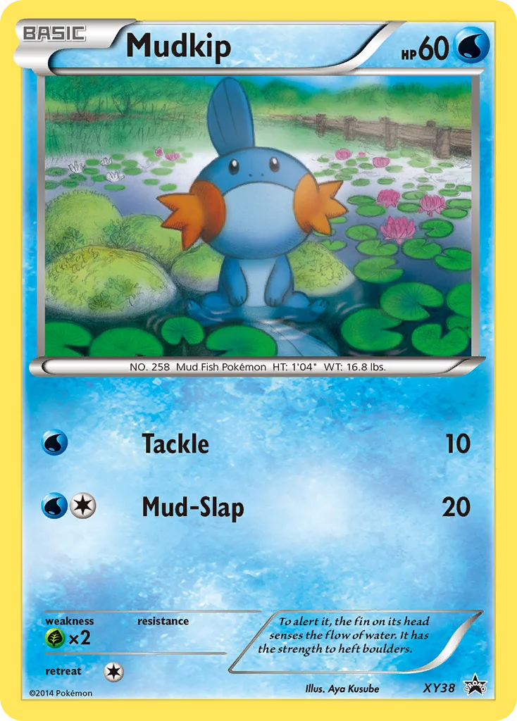 Mudkip · XY Black Star Promos