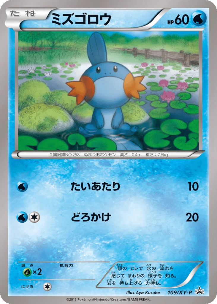 Mudkip · XY Promos