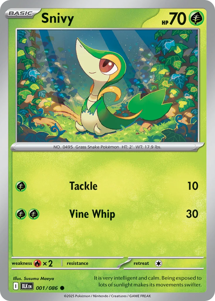 Snivy · Black Bolt