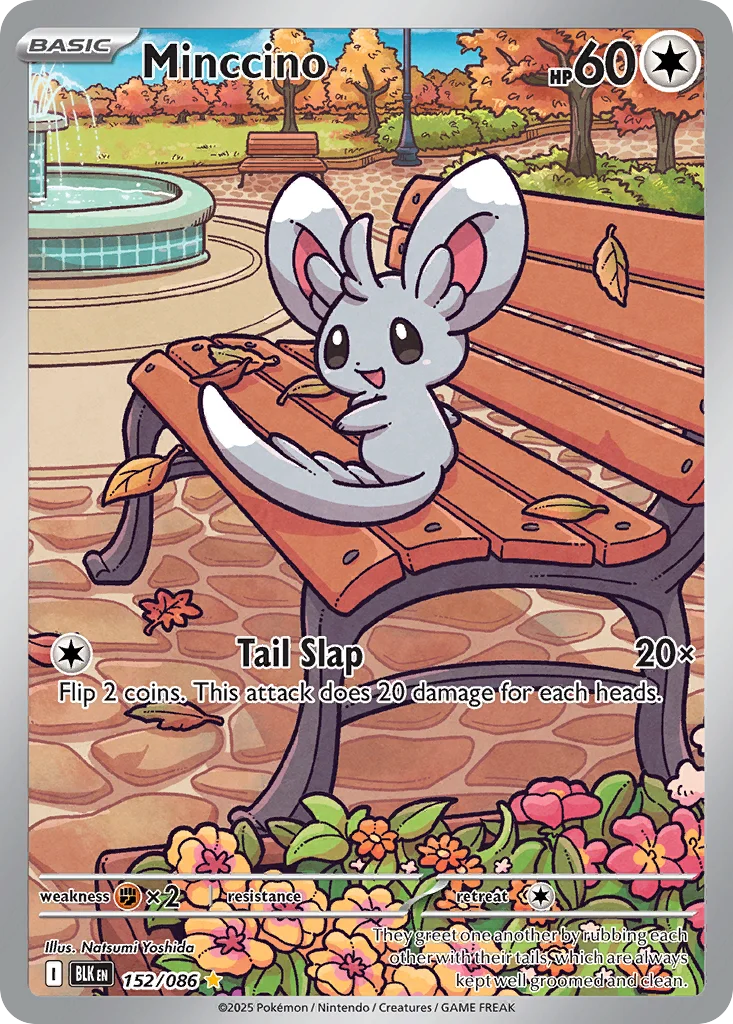 Minccino · Black Bolt