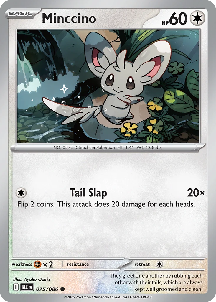 Minccino · Black Bolt