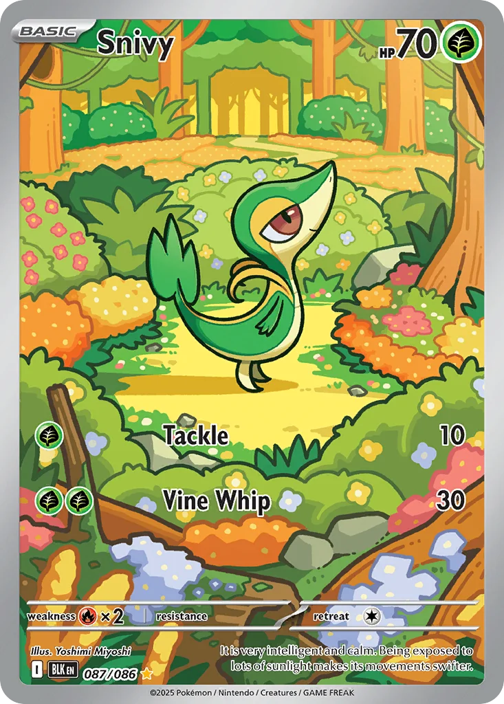 Snivy · Black Bolt