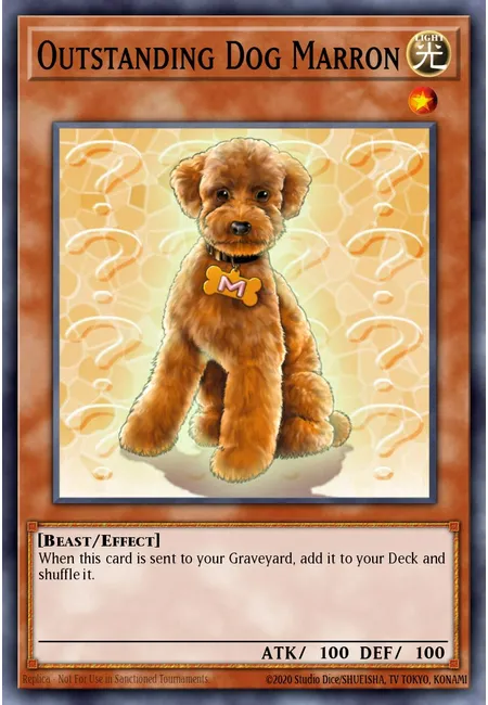 Outstanding Dog Marron