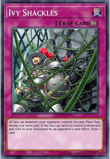 Ivy Shackles