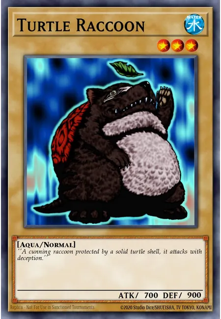 Tartaruga Guaxinim