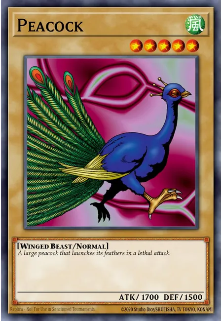 Pavão