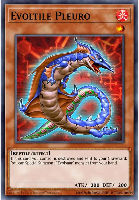 Evoltile Pleuro