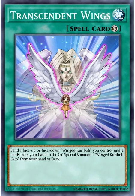 Transcendent Wings